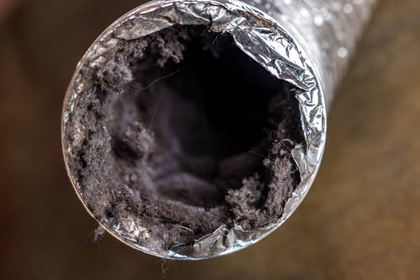 Best Local Air Duct Cleaning Services  in Clover, SC